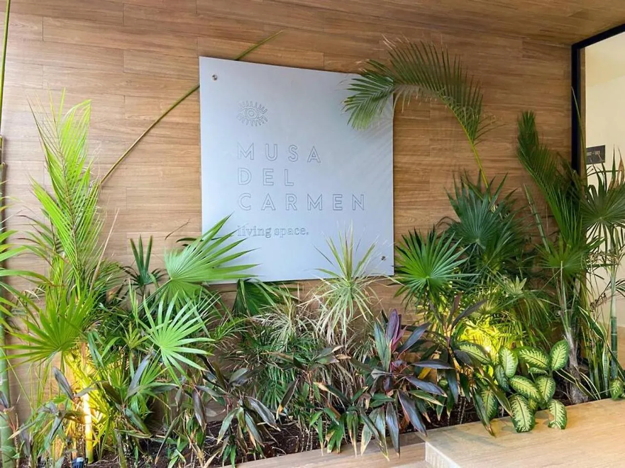 Apartment The 1Br Home In The Heart Of Playa Next 5Th Ave Playa del Carmen
